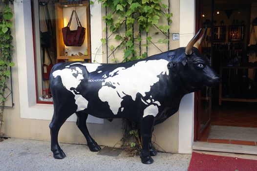 Bull before a leather Aigues-Mortes, Camargue in the south-east of France.