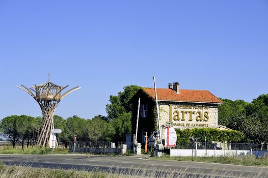 Field Jarras, Listel wine production Aigues-Morte Camargue in the south-east of France.