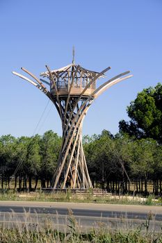 Field Jarras, Listel wine production Aigues-Morte Camargue in the south-east of France. The birds perch