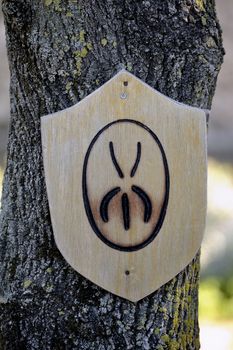 Marking example bulls to recognize property in the French Camargue region