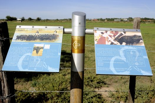 Signaling on the way Vaccar�s Camargue explaining hikers breeding and traditions on the bulls