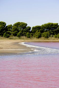 Site operating sea salt saline Aigues-Mortes in the season when a pink algae grow in the water, which gives this beautiful color.