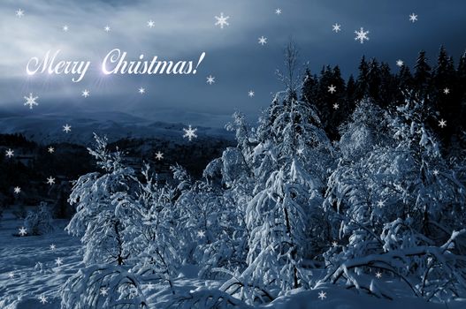 Snow covered trees with with brush made snowflakes and the text: Merry Christmas!