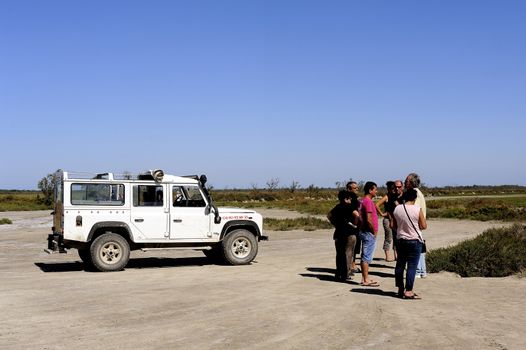 Tourists visiting the Camargue 4x4 with a guide to explain the area and wildlife such as flamingos.