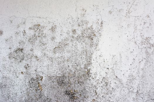 Cement wall background with rough surface texture.