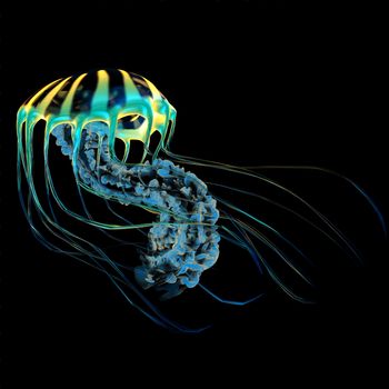 A bioluminescent Jellyfish is a predator catching small fish and organisms with their poisonous tentacles.