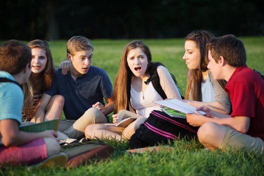 Insulted young female student with friends studying outdoors