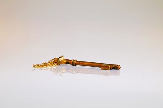 Old Golden Key Lost In Time .