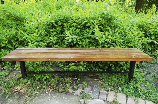 Bench in park after light rain