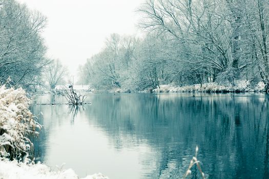 small river in winter, with trees