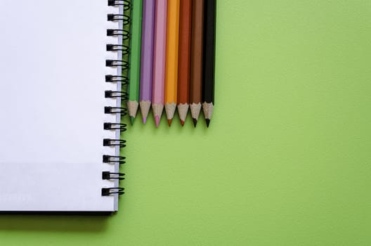 Colorful pencil crayons on a green background, back to school