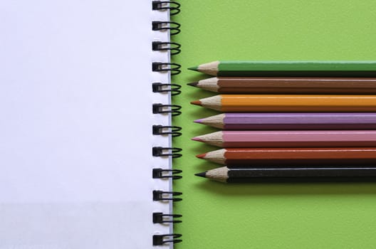 Colorful pencil crayons on a green background, back to school