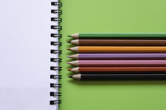 Colorful pencil crayons on a green background, back to school