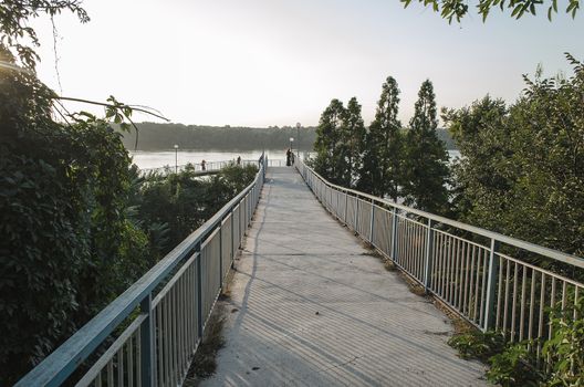 A beautiful foggy morning in the Danube river - low saturation