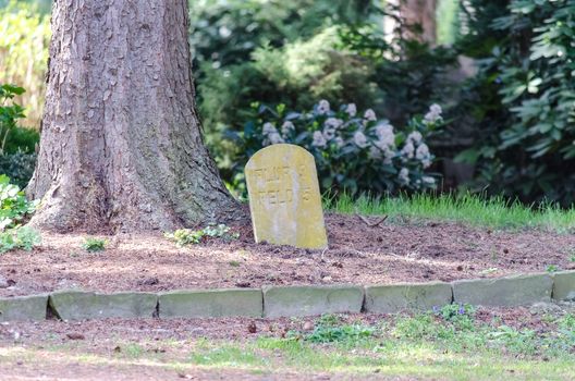 Single grave on a beautiful green meadow