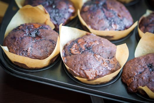 Chocolate muffins with blueberries on cooking pan