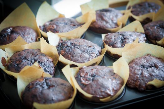 Chocolate muffins with blueberries on cooking pan