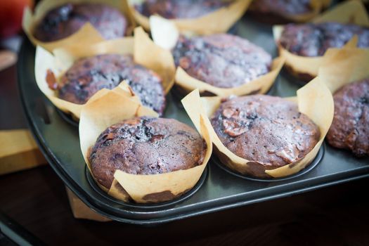 Chocolate muffins with blueberries on cooking pan