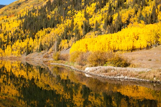 Lakeside reflections of Colorado aspens in Fall