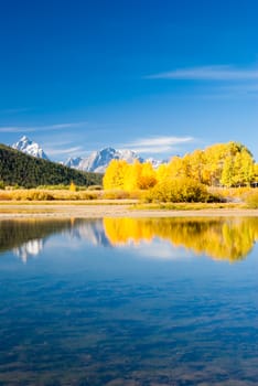 Reflections of Grand Tetons in Fall