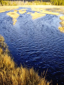 Colorful marsh in Fall in Wyoming