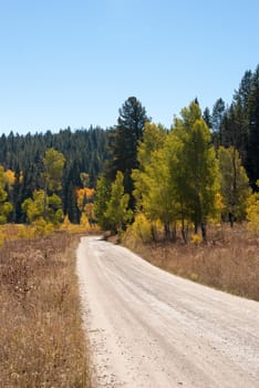 Remote dirt road at Grand Tetons