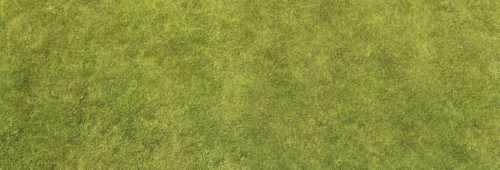 Grass Texture