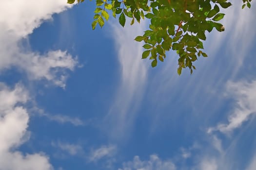 Blue sky with clouds, cloudscape background abstract