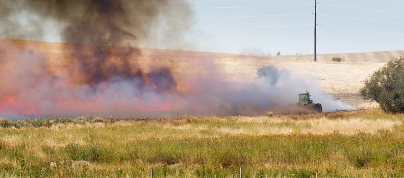 Farmers do a controlled burn before plowing after harvest
