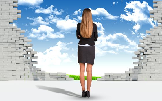 Businesswoman standing with his back to camera. Ruined brick wall and nature landscape as backdrop