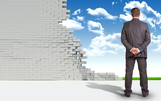 Businessman standing with his back to camera. Ruined brick wall and nature landscape as backdrop