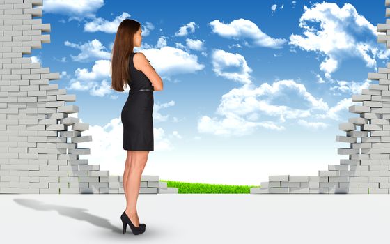 Businesswoman standing with his back to camera. Ruined brick wall and nature landscape as backdrop