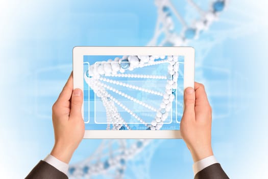 Man hands using tablet pc. Image of DNA helix on tablet screen