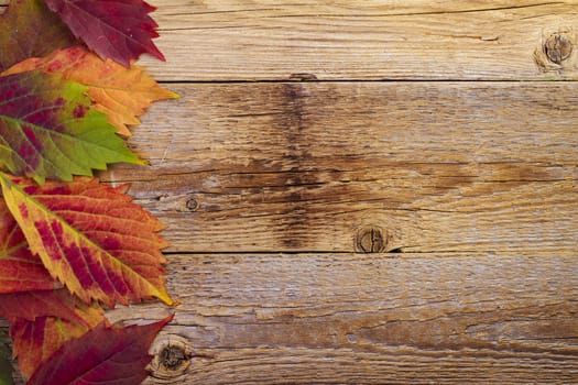 autumn maple leaves over old wooden background with copy space