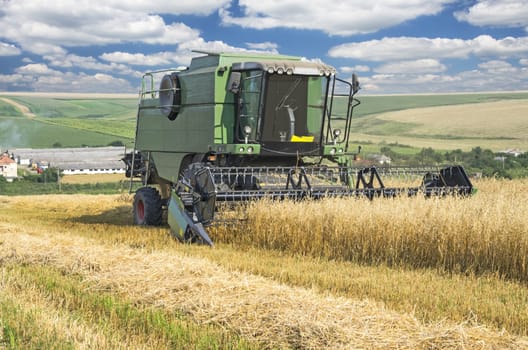 Combine harvester working on the wheat field.