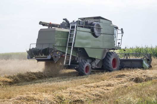 Working combine harvester in a wheat field.