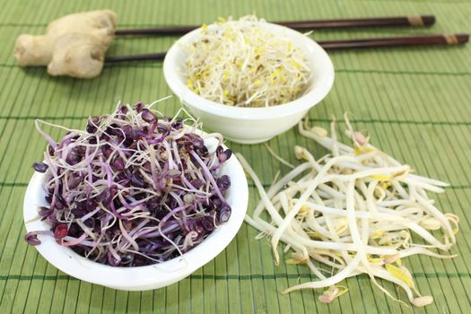 different varieties of sprouts on a bast mat