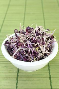 a bowl of radish sprouts on a bast mat