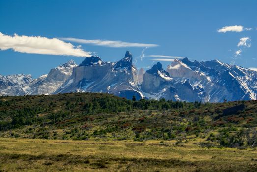 Amazing view of grassy plains and snowy mountains of Torres del Paine National Park