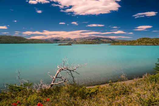 Picturesque view of clear blue lake in Torres del Paine National Park                 