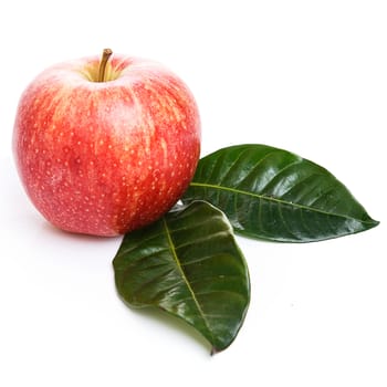 Food. Delicious apples on a white background