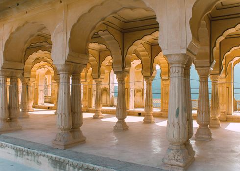 Abundance of peacock arches in beige turning amber by the sunlight.