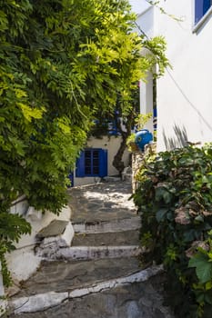 Alonissos Greek island street with flowers