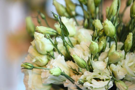 Bouquet of carnation flowers in glass vase