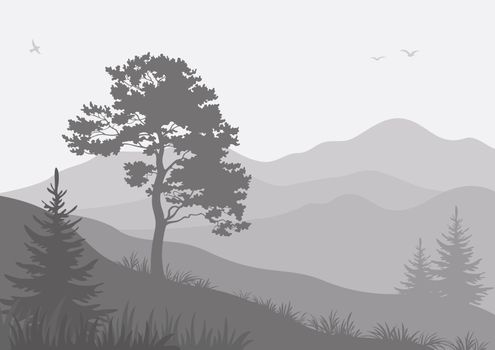 Mountain landscape with pine and fir trees and birds, grey silhouettes.
