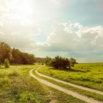 road near forest under sun with low clouds