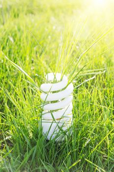 eco bulb on green grass and sun