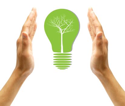 Concept  tree in light bulb symbol of renewable energy