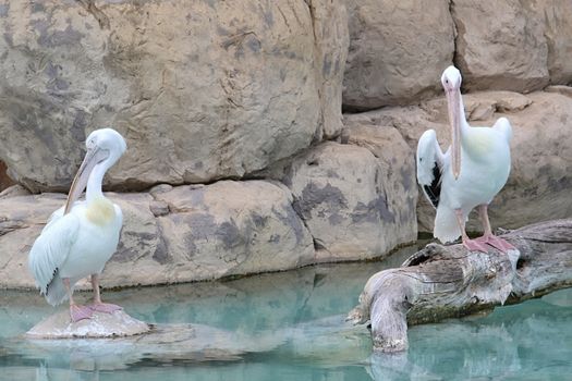 Photo of Oceanographic Parc, Valencia made in the late Summer time in Spain, 2013