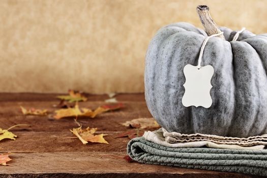 Thanksgiving holiday, green pumpkin still life decoration with with blank greeting card with copy space. Extreme shallow depth of field.